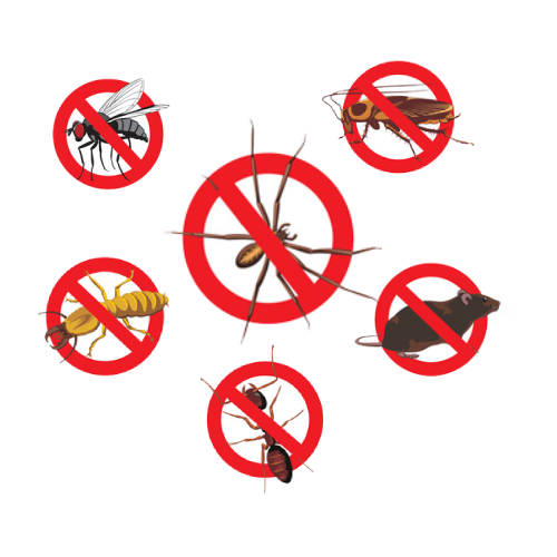 Pest Control