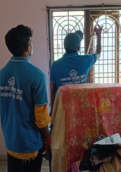 Pest control service rajamundry