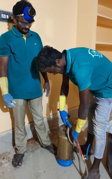 pest control service visakhapatnam
